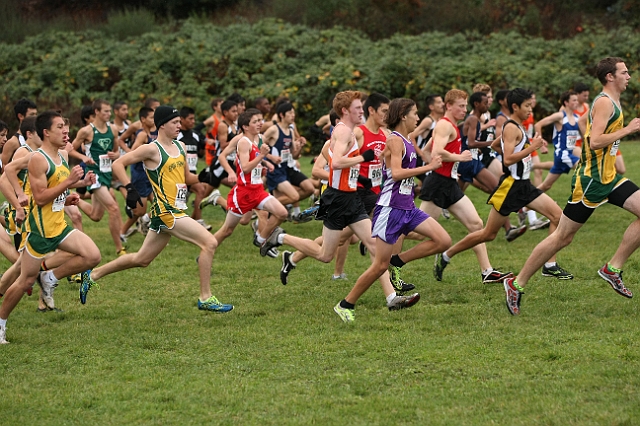2010NCSXC BD2-1515.JPG - 2010 North Coast Section Cross Country Championships, Hayward High School, Hayward, California